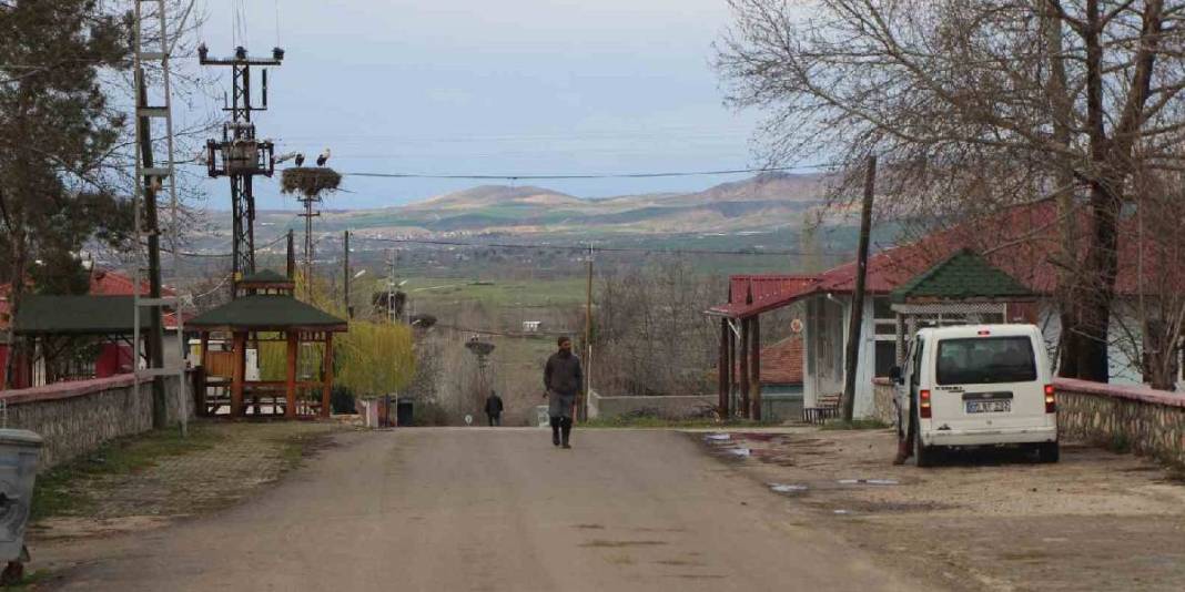 Bu köy leyleklerin yuvası oldu: Taş atmak ve ürkütmek tamamen yasak 4